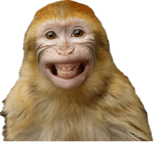 Animales graciosos 11