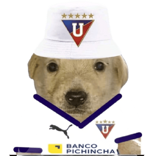 Campeón hay uno solo 12