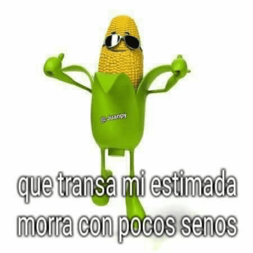 CANAL: STICKERS +AUDIOS 🫦 11