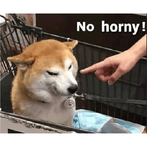 Funny 14