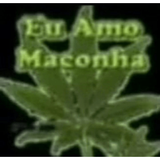 Hahahahahahahaahahaha 1