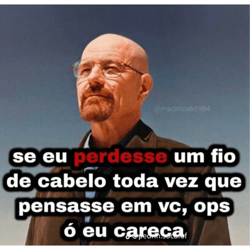 Gatinho fofoqueiro 15