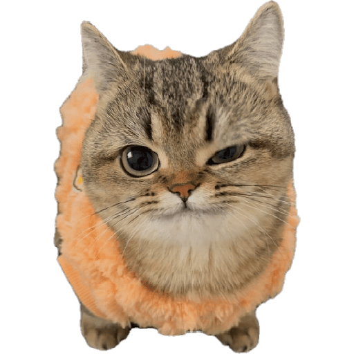 Animales Mensos 2.0 12