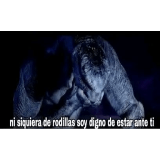 Memes 1