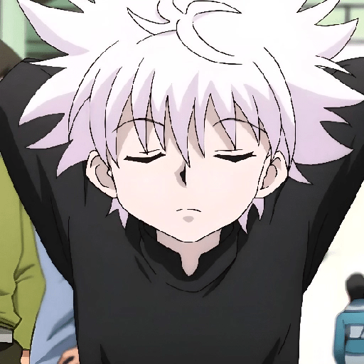🤍✨️KILLUA ZOLDYCK MOOD✨️🤍 11