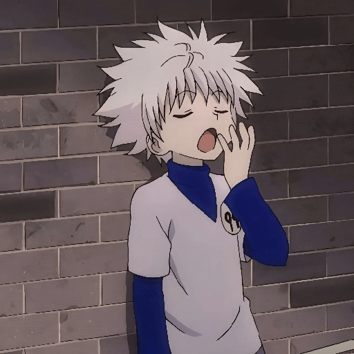 🤍✨️KILLUA ZOLDYCK MOOD✨️🤍 24