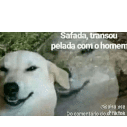 Hahaha 17