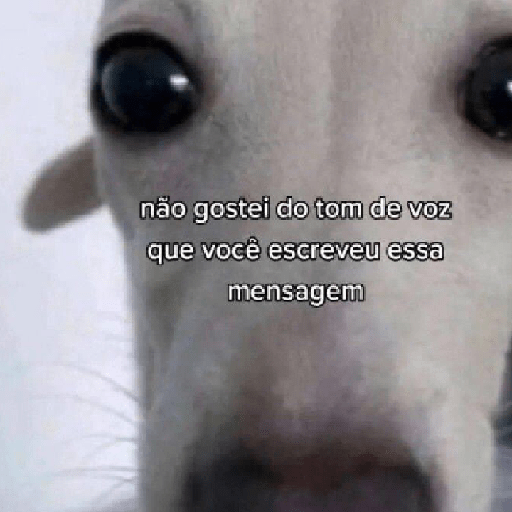Memes#3 5
