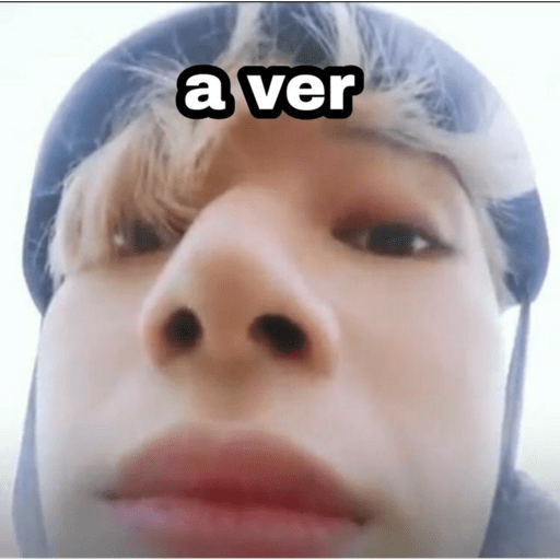 Stray kids.29 4