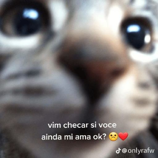 Kiko 16
