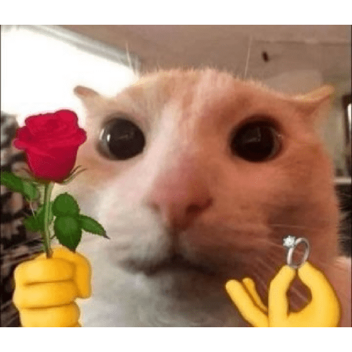 Absydvdks 9