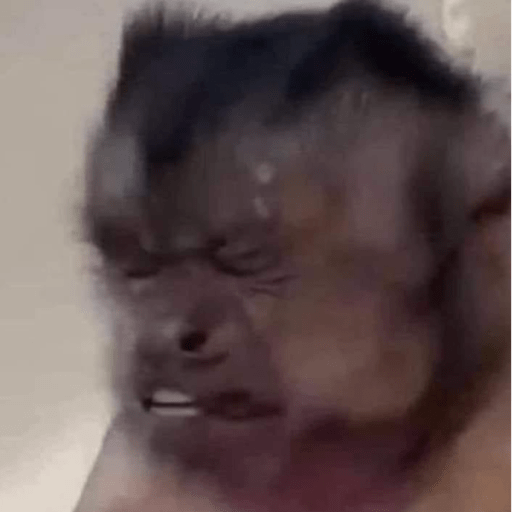 Meme 6