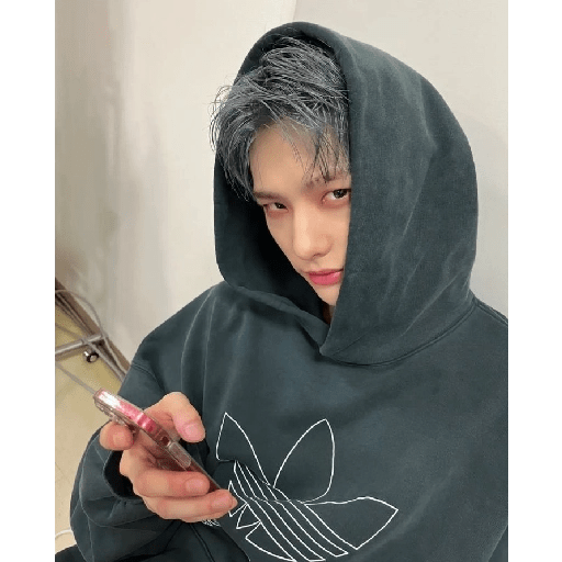 Stray kids  4