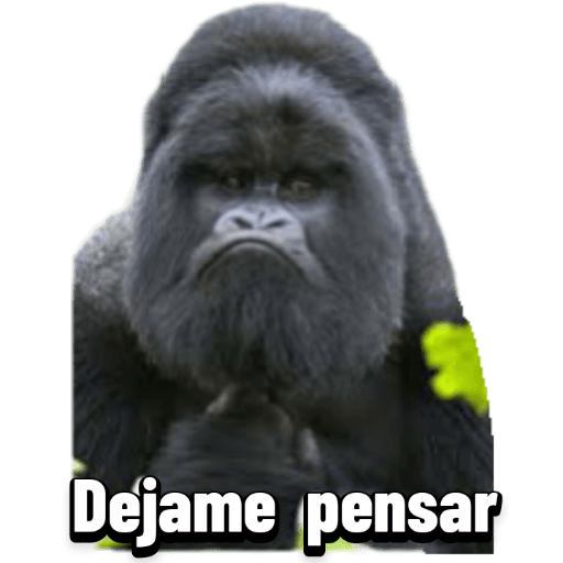 Animales graciosos 3