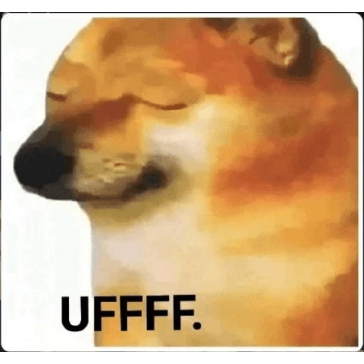 Doge hindi 3 17