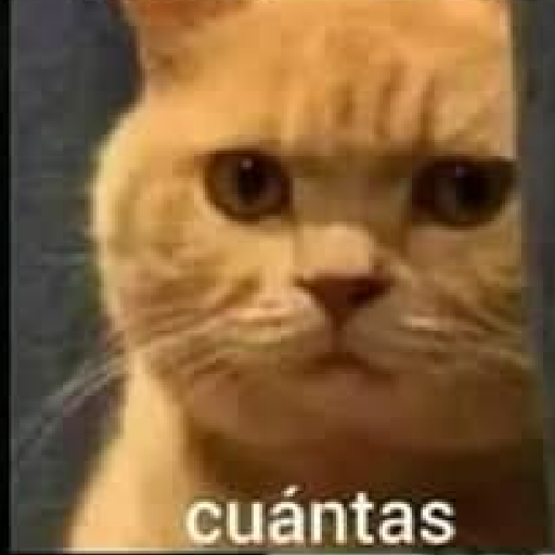 Memes 57 29