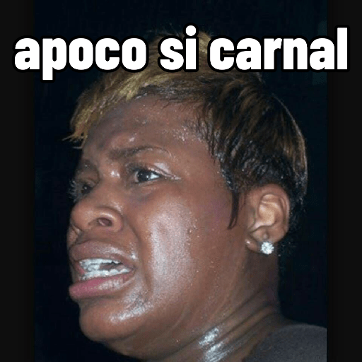 Pal chat  12
