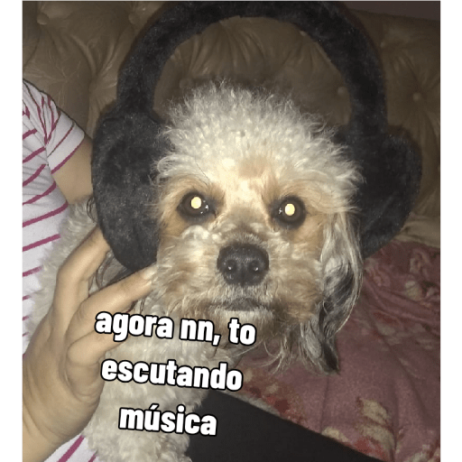 Bella It papai 6