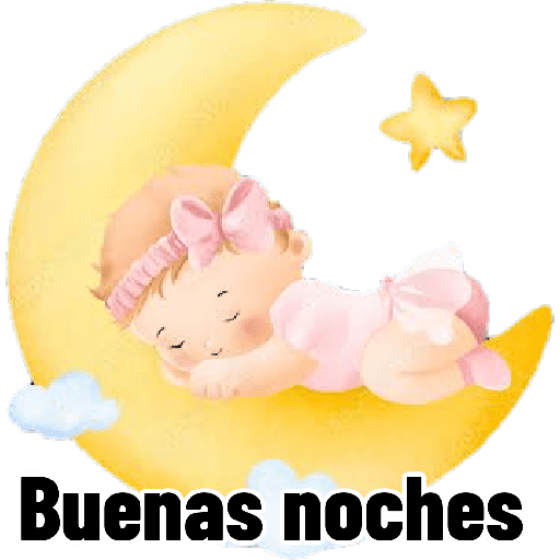 B noches bebo 13