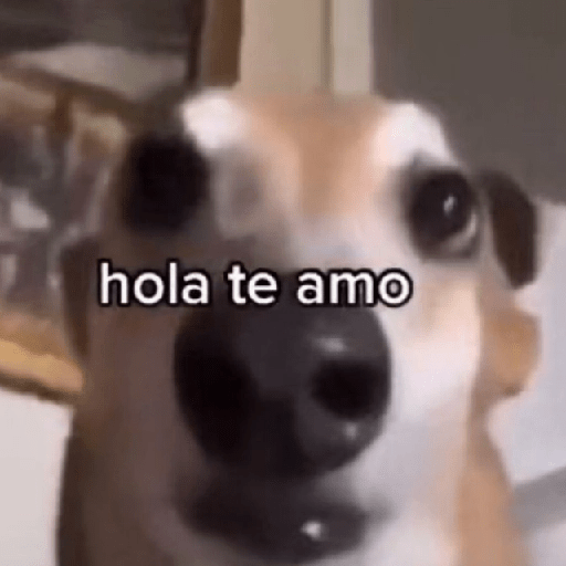 ❤️ Shitpost Amor ❤️ 4