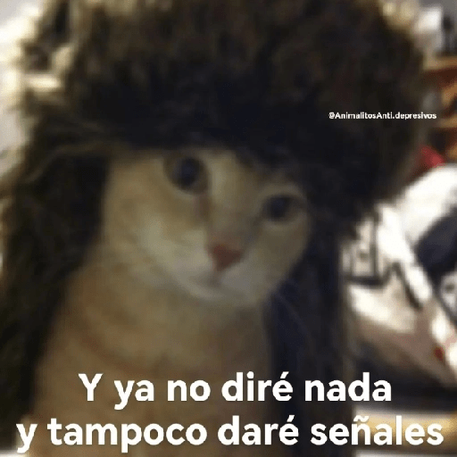 Mix Shitpost 😎🤙 14 11