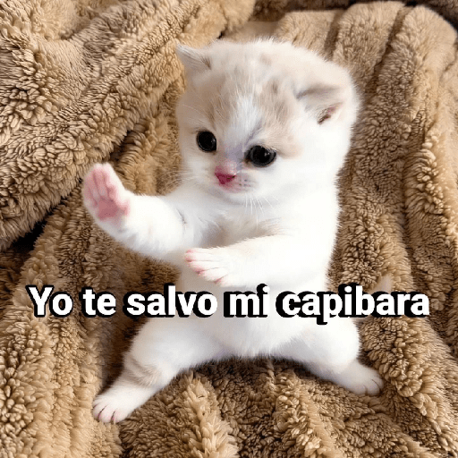 Memes 66 11