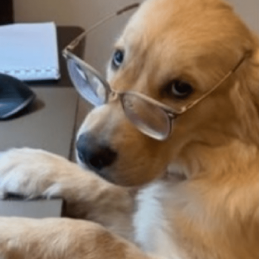 Animais 2