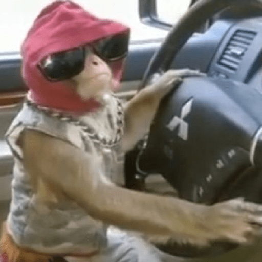 Monkeys monki macaquinhos 9 4