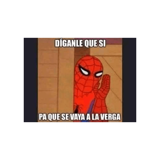 Para grupos de WhatsApp 12