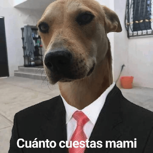 XDD 23