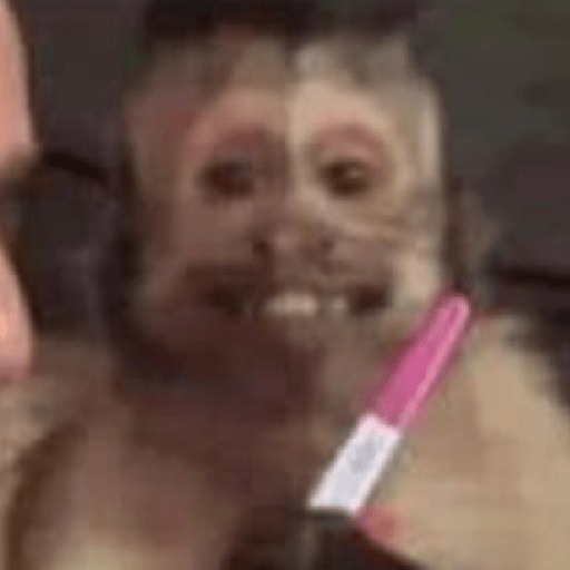 Monkeys monki macaquinhos 9 1