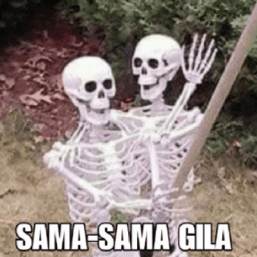 Meme random 21 13