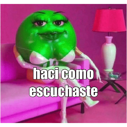 Miau miau  11