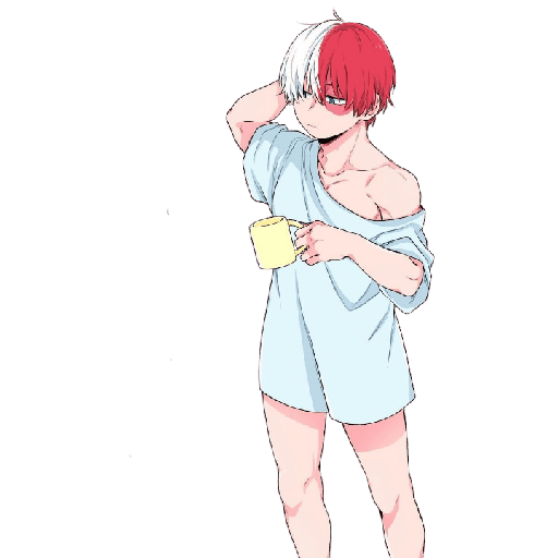 Todoroki chiquito 7