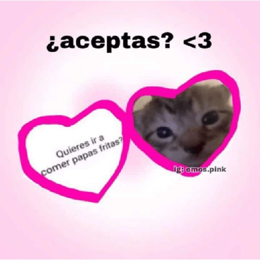 ❤️ Shitpost Amor ❤️ 9