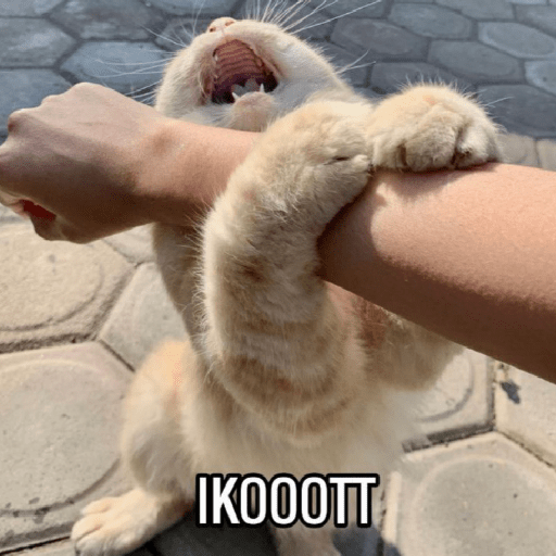 Meme random 21 10