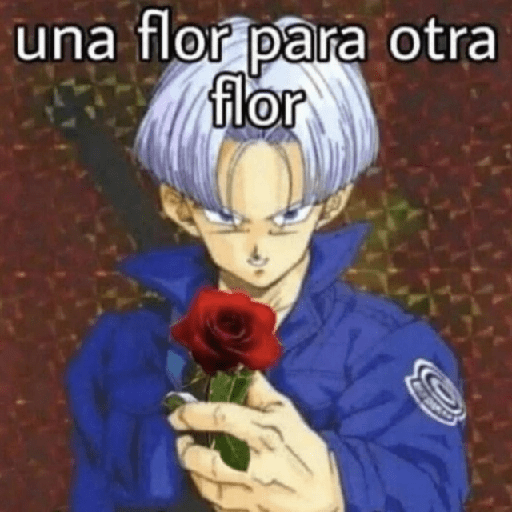 ❤️ Shitpost Amor ❤️ 1