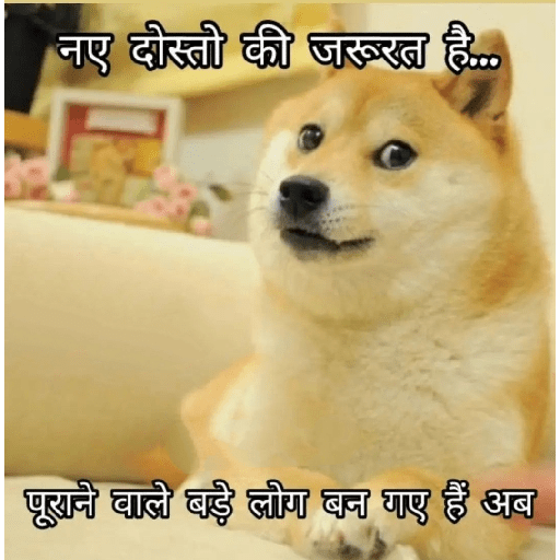 Doge hindi 3 22