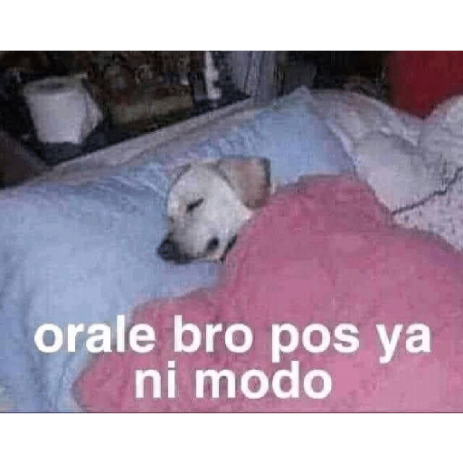 No puedo martha 21