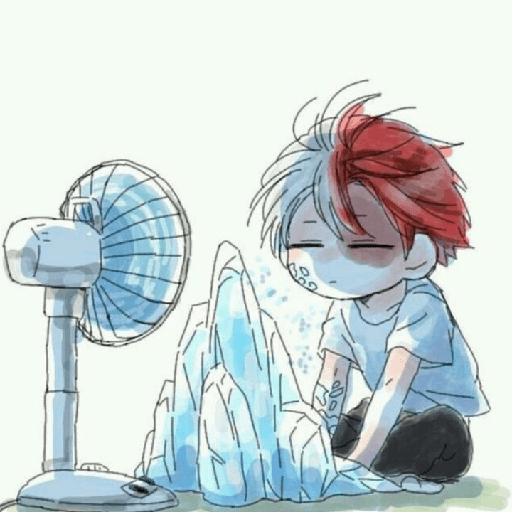 Todoroki chiquito 29
