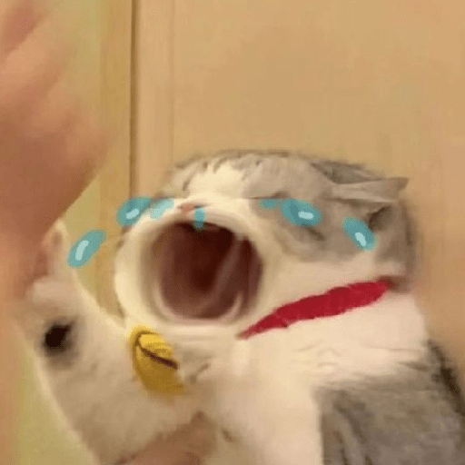 Ana 20