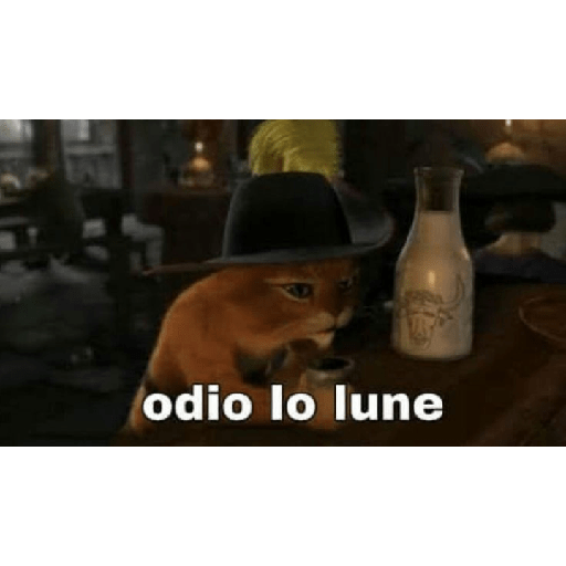 Fotos memes  7