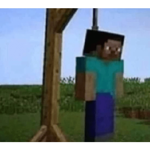 Minecraft  14