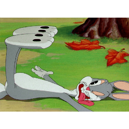 Bugs Bunny Edition[バグバニー版] 17