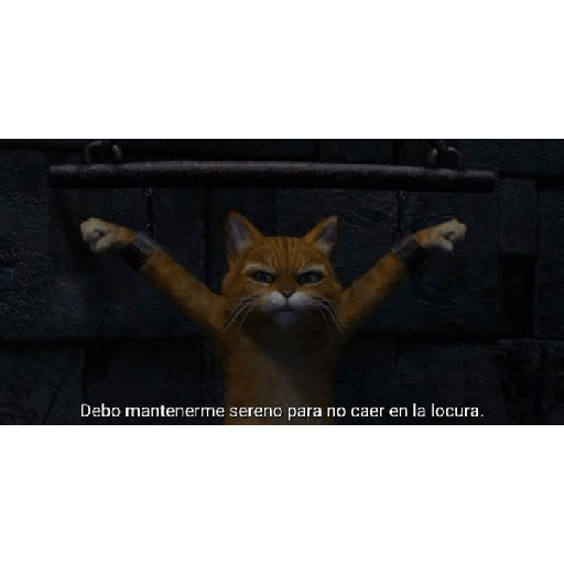 Fotos memes  8
