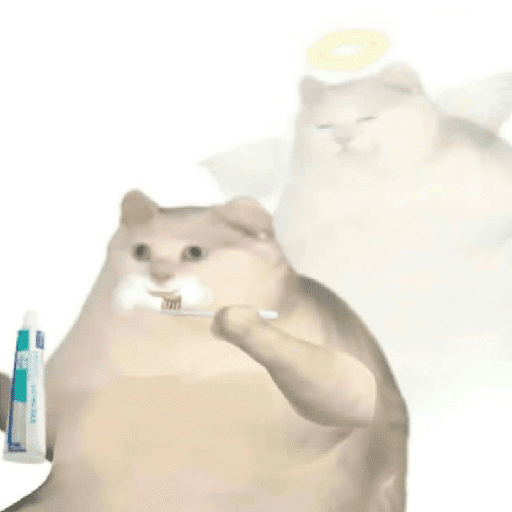 Funny Cats & More  12