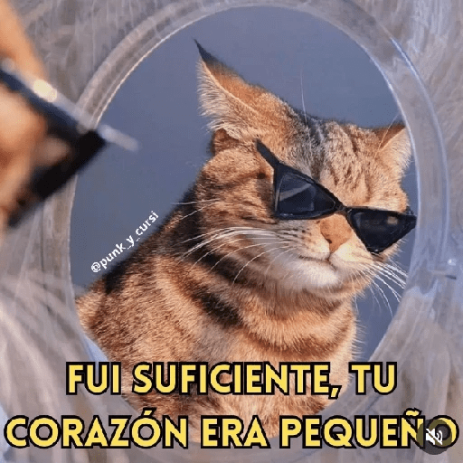 Mix Shitpost 😎🤙 14 13