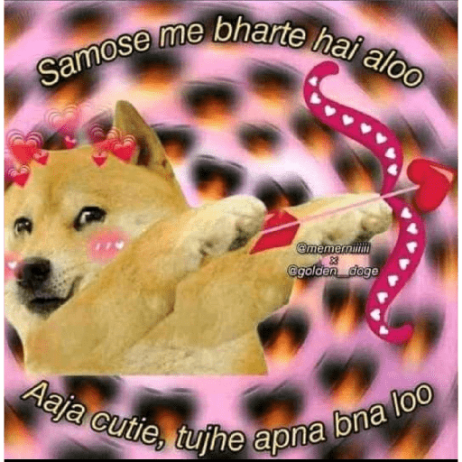 Doge hindi 3 8