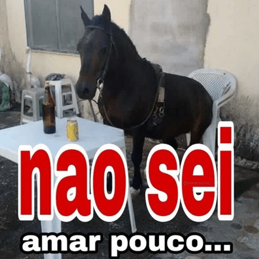 Memes e frases 🤣🤣 6