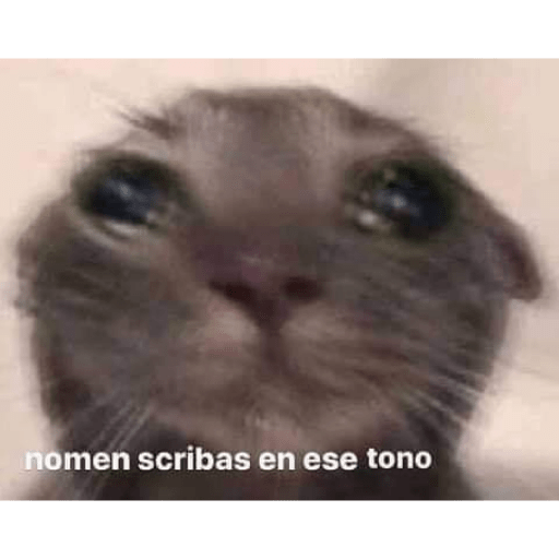 Es por tu bien 14